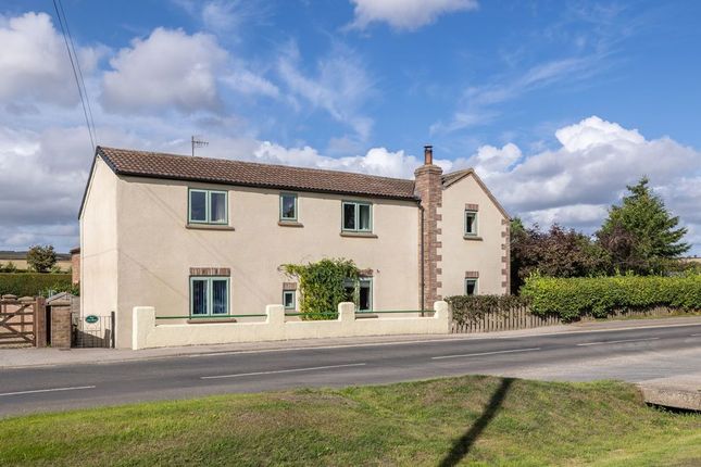 Pear Tree House, Malton photo 4