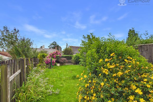 34, West Street, South Molton photo 3