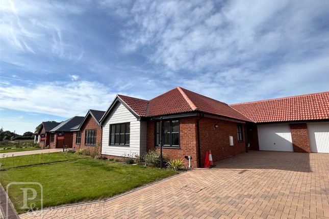 Thumbnail Bungalow for sale in Connaught Road, Weeley Heath, Clacton-On-Sea, Essex