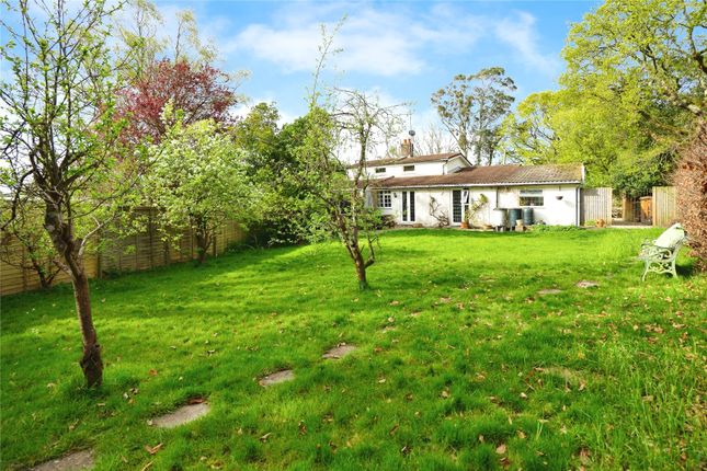 Thumbnail Bungalow for sale in Shoreham Road, Henfield, West Sussex
