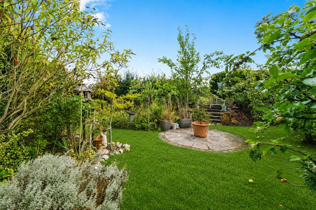 Plum Tree Cottage, Loddon Road, Norwich photo 4