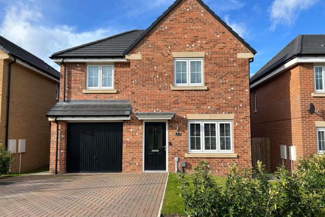 Thumbnail Detached house for sale in Heartwood Gardens, Normanby, Middlesbrough