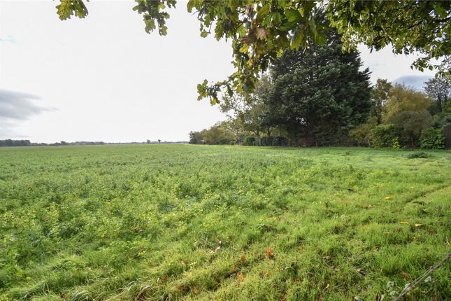 Colnefields, Huntingdon photo 4