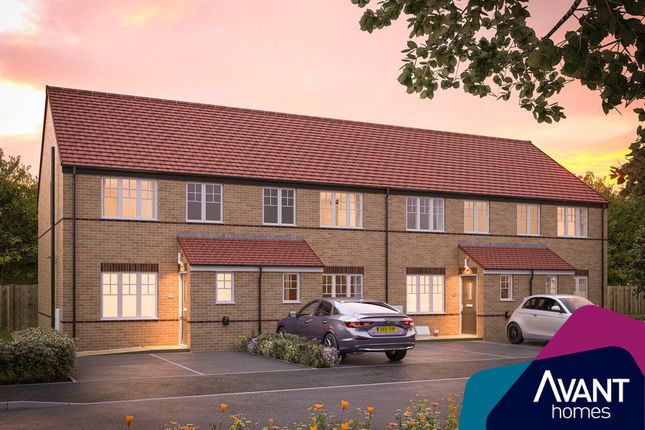 Thumbnail Terraced house for sale in "The Ripon" at Tibshelf Road, Holmewood, Chesterfield