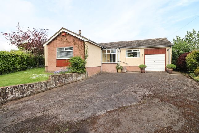 Thumbnail Bungalow for sale in Great Orton, Carlisle