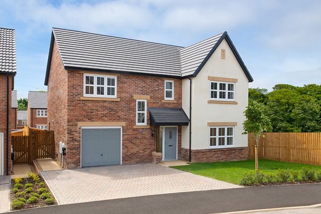 Thumbnail Detached house for sale in "Lawson" at Alnmouth Road, Alnwick