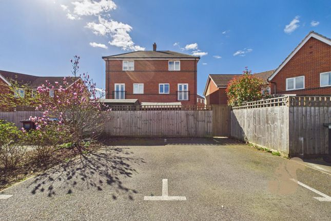 24, Hall Lane, Bury St. Edmunds photo 4