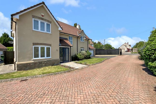 Front / Driveway