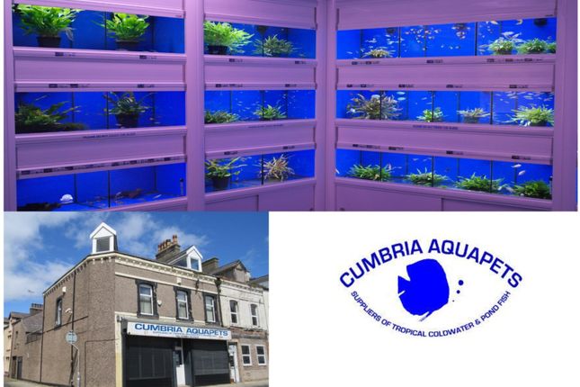Thumbnail Retail premises for sale in Fisher Street, 24-26, Cumbria Aquapets, Workington