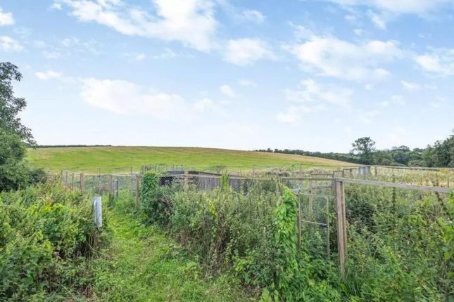 Additional 15 Acres Sold Separately