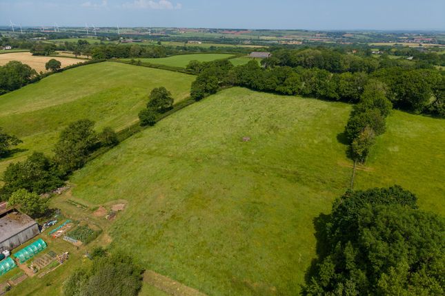 Hillerton Cross Farm, Crediton photo 4