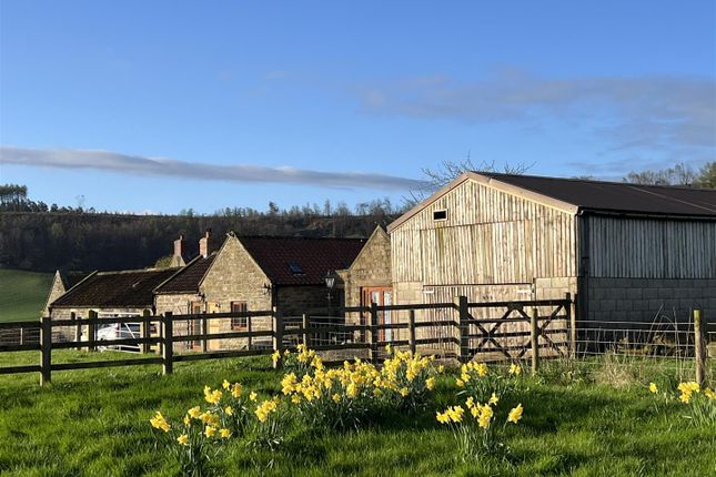 Barn conversion for sale in Silpho, Scarborough