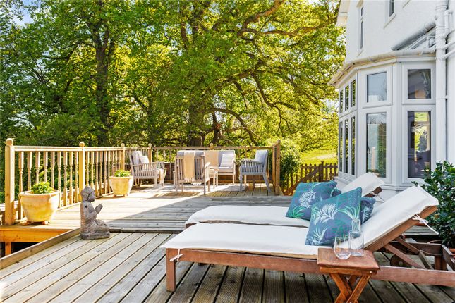 Patio/Terrace