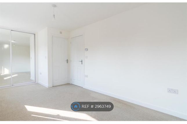 Tufnell Close, Andover photo 4