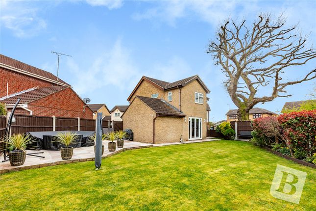 Thumbnail Detached house for sale in Broad Oaks, Wickford, Essex