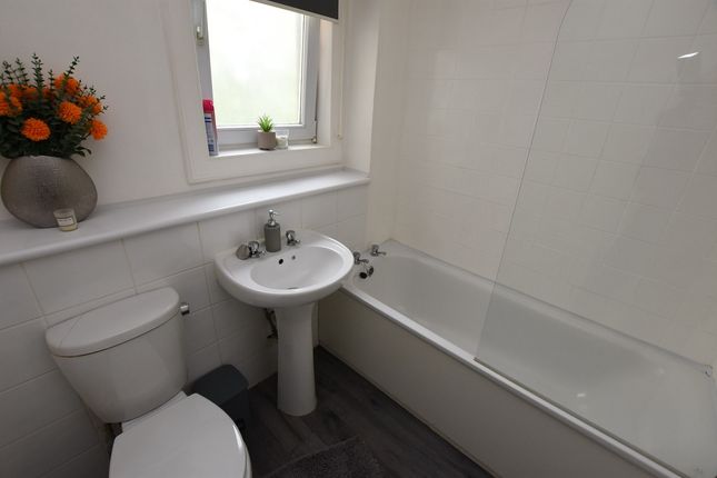 62, Ann Street, Hamilton photo 5