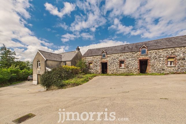 Gilfach Dofn, Clynderwen photo 3