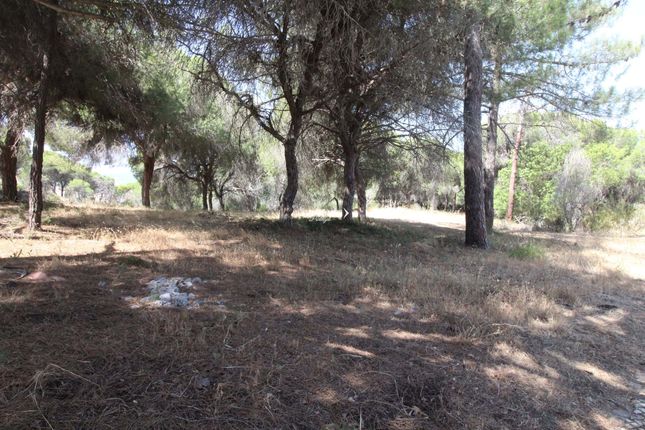 Thumbnail Land for sale in 8135-107 Almancil, Portugal