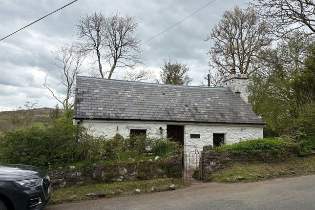 Llwyncelyn, Ammanford photo 2