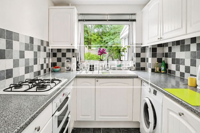 12, Guildford photo 2