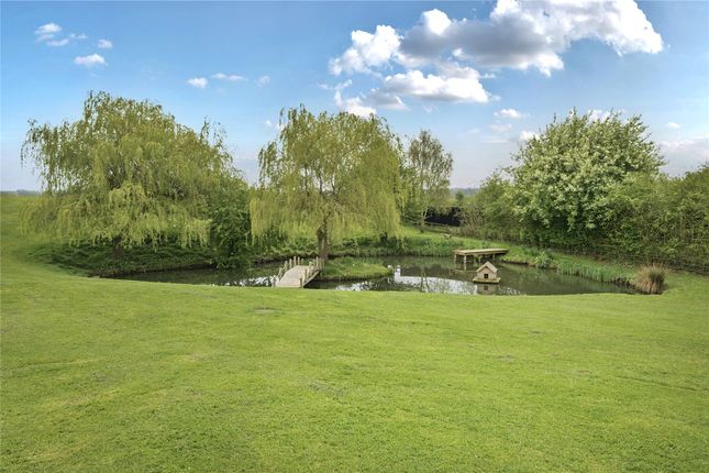Pond And Gardens