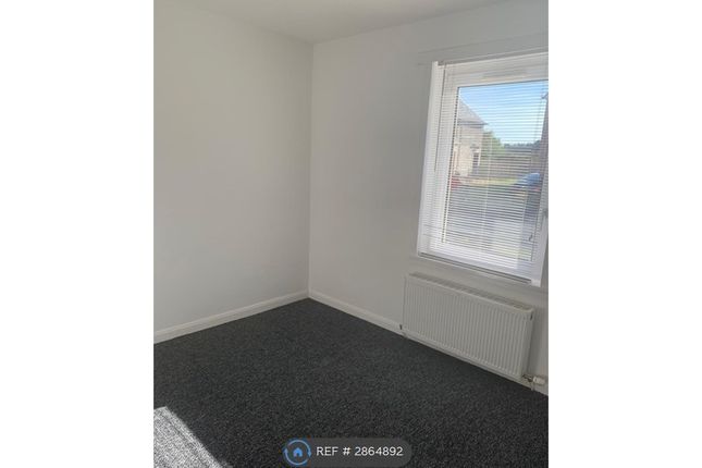 William Drive, Hamilton photo 5