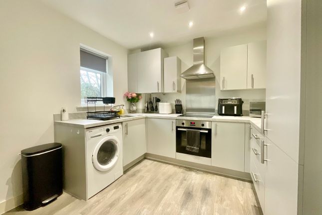 34, Walker Point Way, Newport photo 3