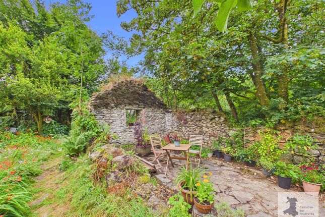 Rhos Merlyn, Mynachlogddu, Mynachlogddu Clynderwen photo 3