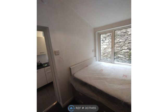 Clifton Place, Ground Floor Flat, Plymouth photo 3