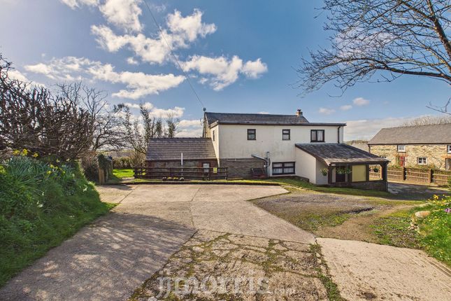 Ffynnon, Clynderwen photo 4