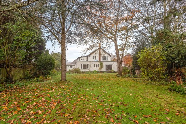 Thumbnail Detached house for sale in Willow Walk, Englefield Green, Egham, Surrey