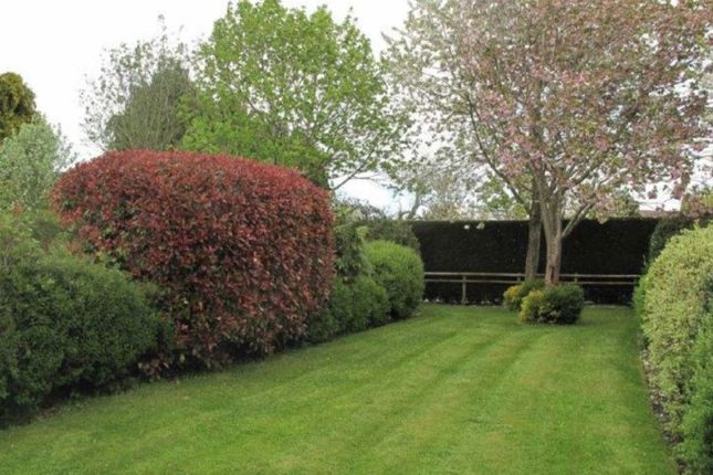 Ashford Farm, Ludlow photo 3
