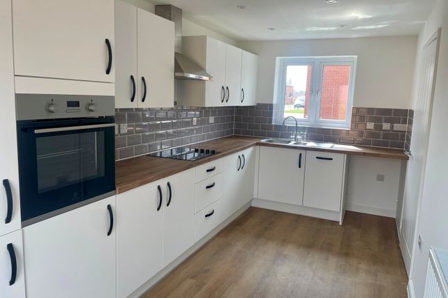 The Alder, Plot 37, Eastwood, Great Yarmouth photo 3