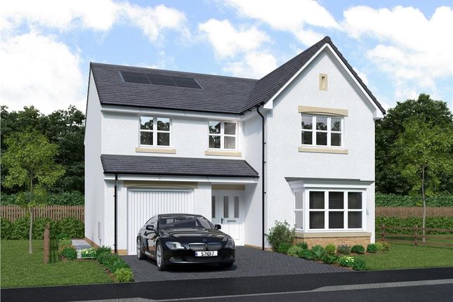 Thumbnail Detached house for sale in "Limewood" at Penzance Way, Chryston, Glasgow