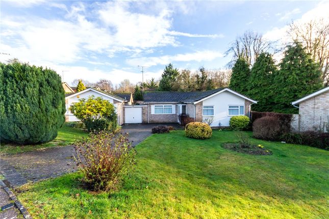 Bungalow for sale in The Park, Redbourn, St. Albans, Hertfordshire