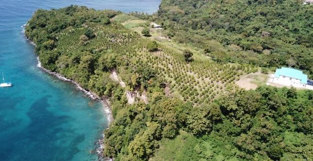 Land for sale in Blackbay, St. John, Grenada
