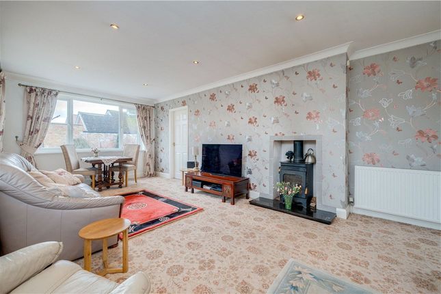 White Rose Studio,, Melmerby, Ripon photo 4