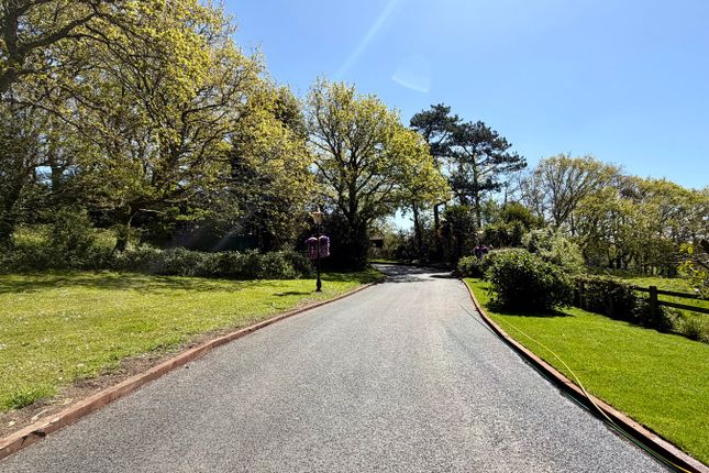 Kloofs Residential and Holiday Park, Sandhurst Lane, Bexhill-on-Sea photo 2