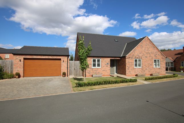 Thumbnail Bungalow for sale in The Crofts, North Scarle