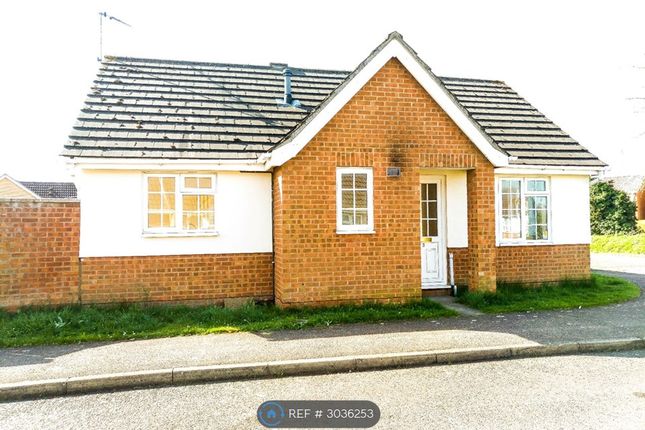 Robin Mews, Wisbech photo 2