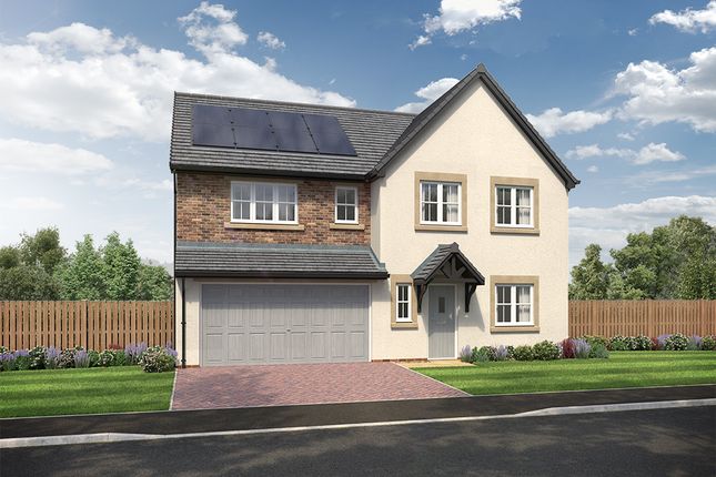 Thumbnail Detached house for sale in "Masterton" at Durham Lane, Stockton-On-Tees, Eaglescliffe