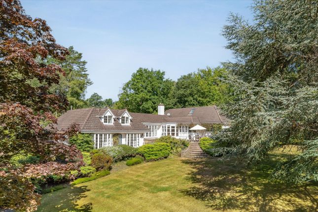 Thumbnail Detached house for sale in Portnall Drive, Virginia Water, Surrey