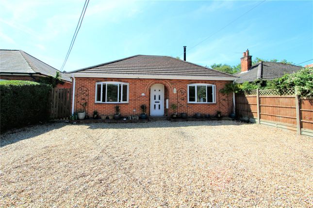 Thumbnail Bungalow for sale in Winchester Road, Stroud, Petersfield, Hampshire