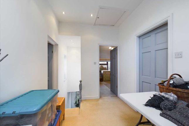 Landing/Study Area