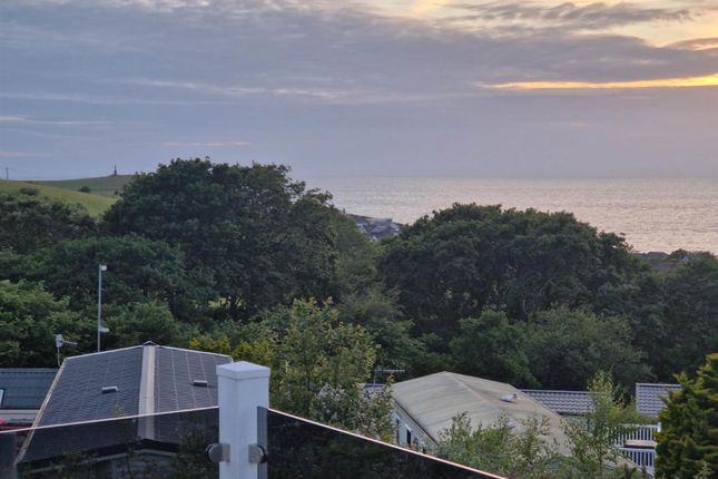 Lodge, Willerby Pinehurst, Borth, Borth photo 5