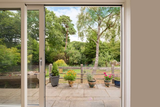10, Ifoldhurst, Billingshurst photo 3