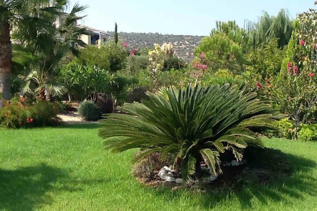 Villa for sale in Latchi, Paphos, Cyprus