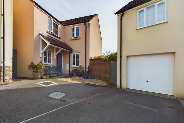 Thumbnail Detached house for sale in Trivetts Way, Cossington, Bridgwater