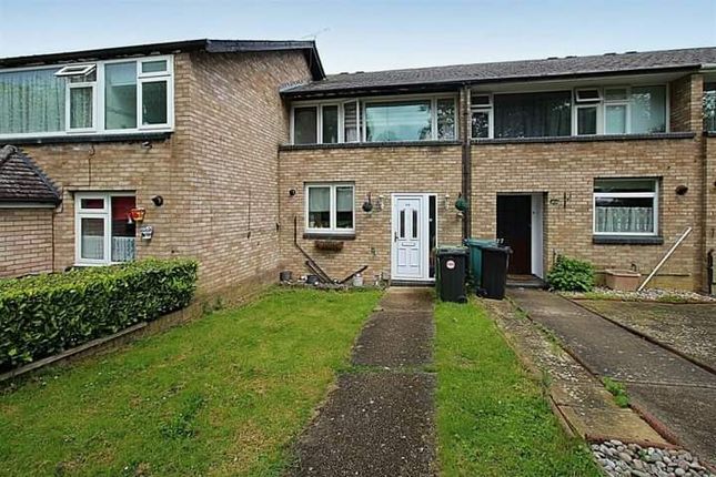 Thumbnail Terraced house to rent in Raphaels, Lee Chapel North