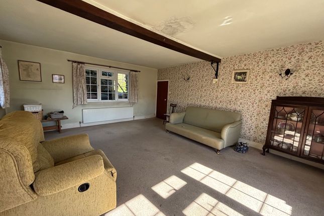 9 Constitution Hill, Ipswich photo 3